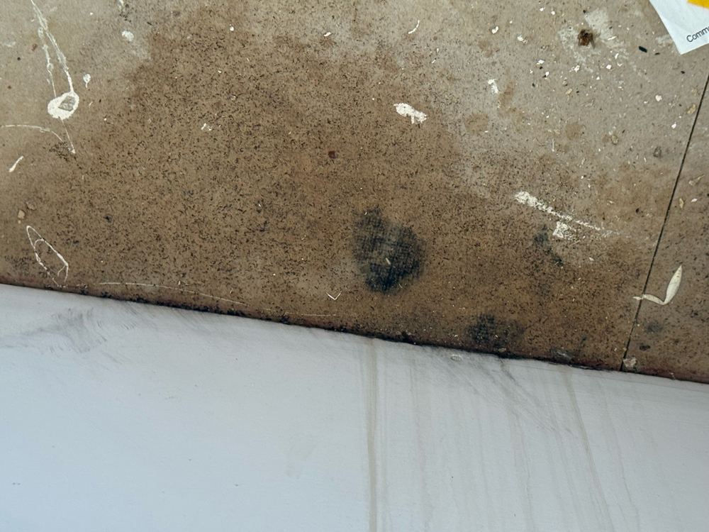 Defect Investigation Reports in Castle Hill