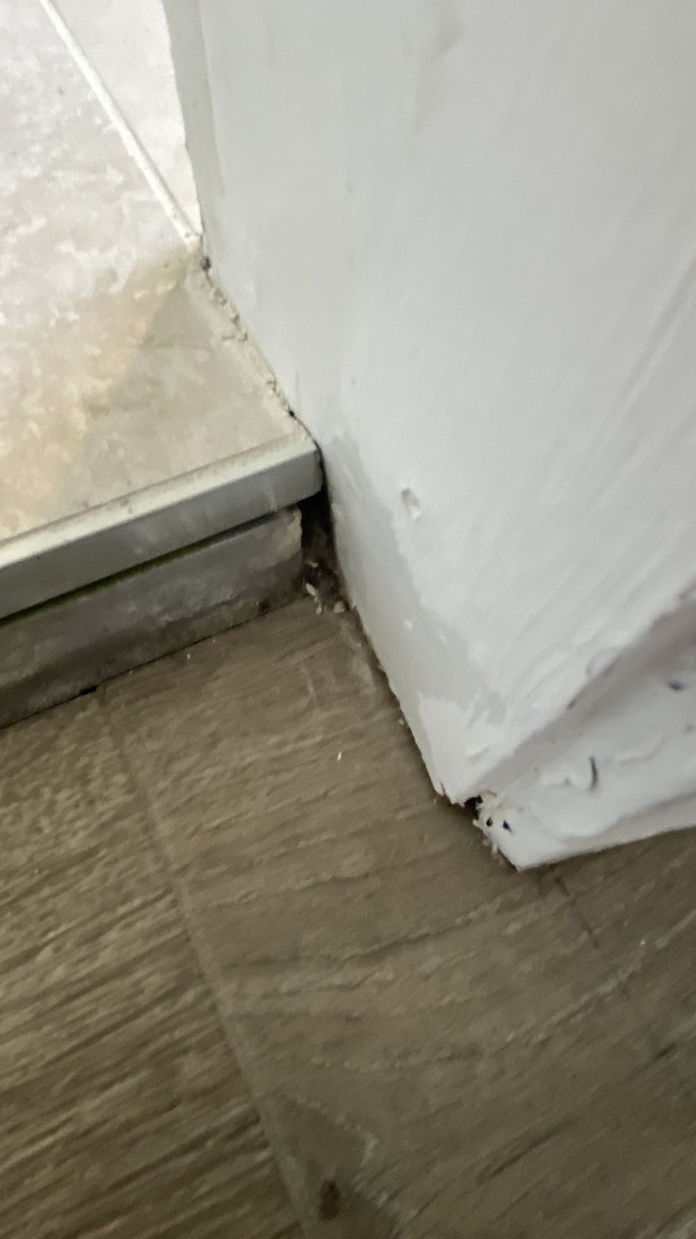 Water stop angle not run around the full ensuite doorway, found during a pre-purchase building and pest inspection in Castle Hill