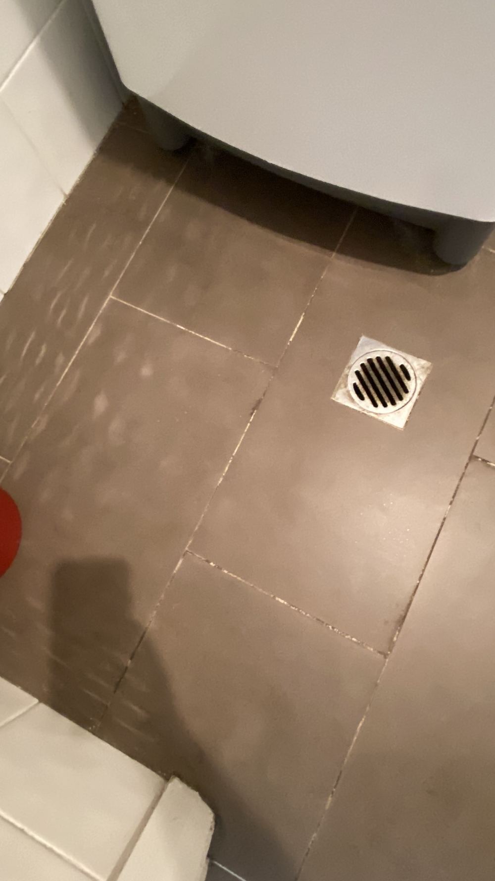 White salt deposits on laundry tiles, a sign of moisture moving through, found during a pre-purchase building and pest inspection in Castle Hill