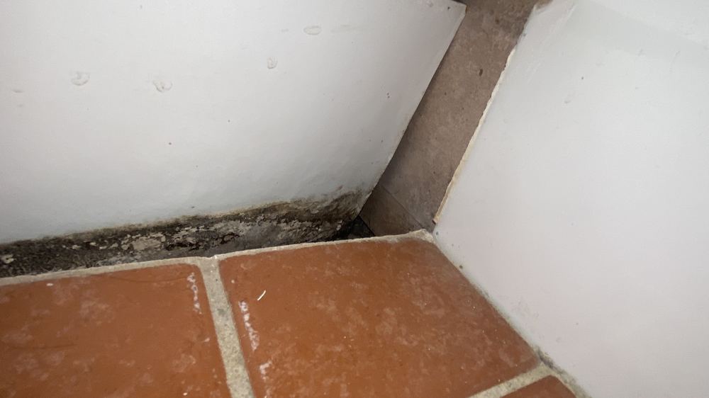 No visible sign of a waterproofing membrane in the upstairs bathroom, found during a pre-purchase building and pest inspection in Castle Hill